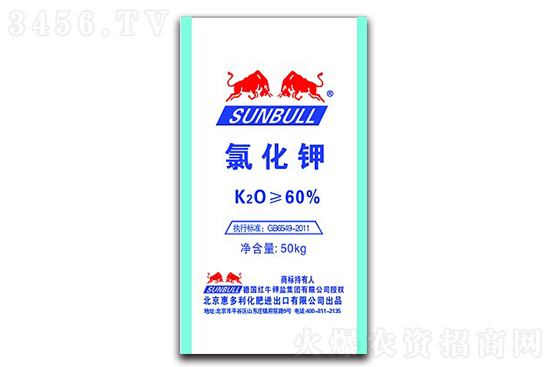 2020-12-24����⛷ʃr�������r