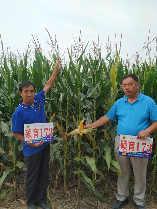 �T��173��4500����-���׷N��-�̵��N�I(y��)