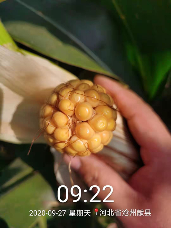 �T��173��4500����-���׷N��-�̵��N�I(y��)