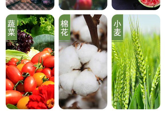 鎬ユ晳澧炰駭鐧介噾绱?澶х紼糭06.jpg 鎬ユ晳澧炰駭鐧介噾绱?澶х紼糭06.jpg