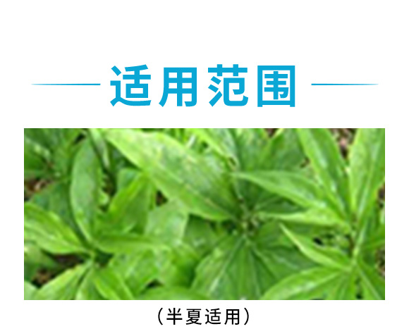 天南星、半夏中藥材除草劑-富美 天南星、半夏中藥材除草劑-富美