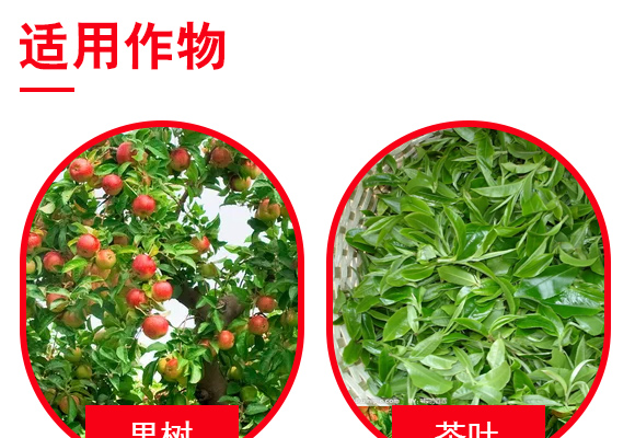 鏈夋満鏃犳満澶嶆販鑲ユ枡-緙撳姪闈掔敯_04.jpg 鏈夋満鏃犳満澶嶆販鑲ユ枡-緙撳姪闈掔敯_04.jpg