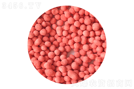 2021-2-5����⛷ʃr�������r