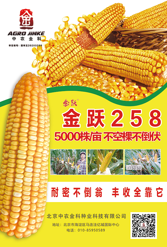 ���S258-���׷N��-���r(n��ng)���