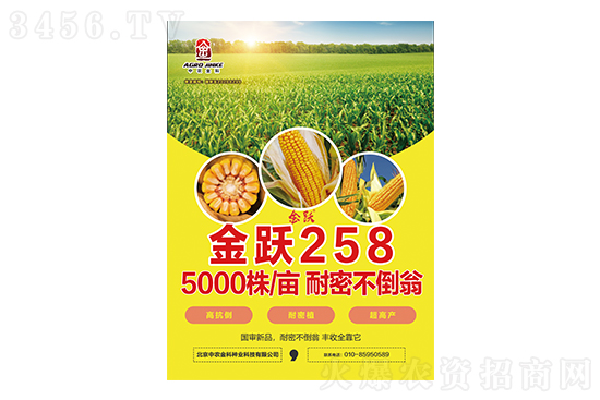 2021-3-4山東地區(qū)玉米價格收購報價一覽 2021-3-4山東地區(qū)玉米價格收購報價一覽