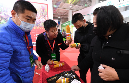 2021���28�Ã�(n��i)�ɹ��r(n��ng)�I(y��)���[��(hu��)�A�M��Ļ��