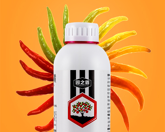 灞變笢鐪佹垚姝﹀幙鏈夋満鍖栧伐鍘傝鎯呴〉_05.jpg 灞變笢鐪佹垚姝﹀幙鏈夋満鍖栧伐鍘傝鎯呴〉_05.jpg