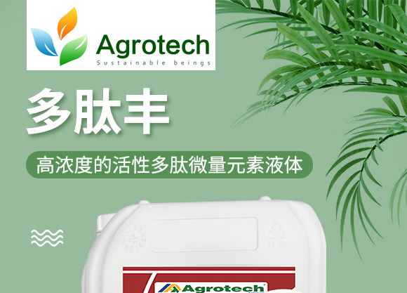 鍩冨強鑹炬牸娉板厠鍥介檯鍐滀笟寮€鍙戞妧鏈泦鍥㈡湁闄愬叕鍙竉01.jpg 鍩冨強鑹炬牸娉板厠鍥介檯鍐滀笟寮€鍙戞妧鏈泦鍥㈡湁闄愬叕鍙竉01.jpg