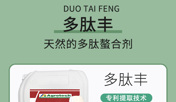 鍩冨強鑹炬牸娉板厠鍥介檯鍐滀笟寮€鍙戞妧鏈泦鍥㈡湁闄愬叕鍙竉06.jpg 鍩冨強鑹炬牸娉板厠鍥介檯鍐滀笟寮€鍙戞妧鏈泦鍥㈡湁闄愬叕鍙竉06.jpg