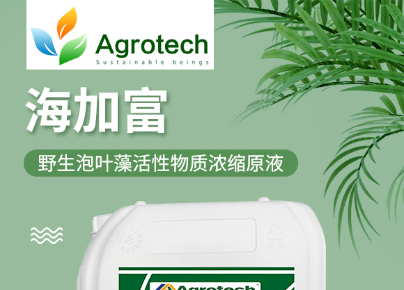 鍩冨強(qiáng)鑹炬牸娉板厠鍥介檯鍐滀笟寮鍙戞妧鏈泦鍥㈡湁闄愬叕鍙?_01.jpg 鍩冨強(qiáng)鑹炬牸娉板厠鍥介檯鍐滀笟寮鍙戞妧鏈泦鍥㈡湁闄愬叕鍙?_01.jpg