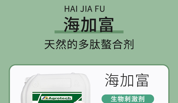 鍩冨強(qiáng)鑹炬牸娉板厠鍥介檯鍐滀笟寮鍙戞妧鏈泦鍥㈡湁闄愬叕鍙?_06.jpg 鍩冨強(qiáng)鑹炬牸娉板厠鍥介檯鍐滀笟寮鍙戞妧鏈泦鍥㈡湁闄愬叕鍙?_06.jpg