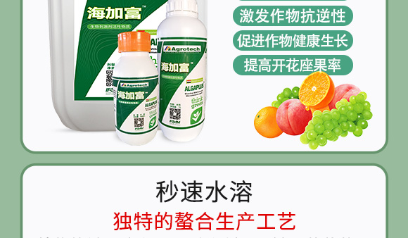 鍩冨強(qiáng)鑹炬牸娉板厠鍥介檯鍐滀笟寮鍙戞妧鏈泦鍥㈡湁闄愬叕鍙?_07.jpg 鍩冨強(qiáng)鑹炬牸娉板厠鍥介檯鍐滀笟寮鍙戞妧鏈泦鍥㈡湁闄愬叕鍙?_07.jpg