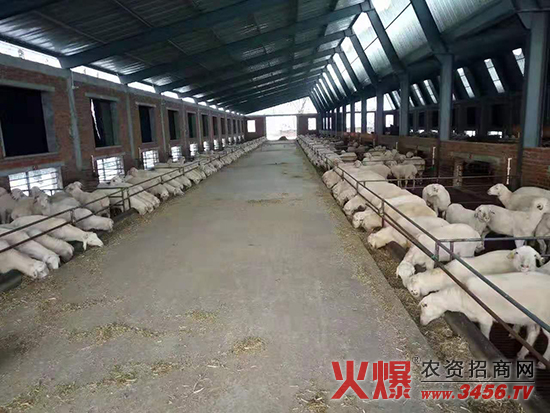 正陽縣天樂生物科技有限公司