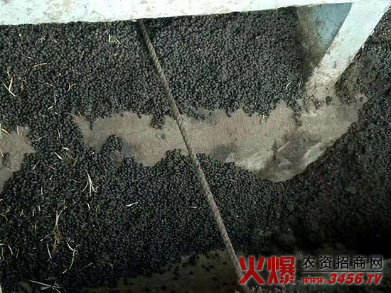 正陽縣天樂生物科技有限公司