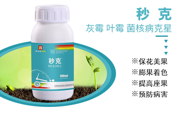 鐏伴湁銆佸彾闇夈佽弻鏍哥梾鍏嬫槦-縐掑厠_03.jpg 鐏伴湁銆佸彾闇夈佽弻鏍哥梾鍏嬫槦-縐掑厠_03.jpg