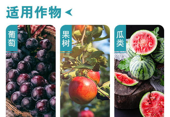 鐏伴湁銆佸彾闇夈佽弻鏍哥梾鍏嬫槦-縐掑厠_04.jpg 鐏伴湁銆佸彾闇夈佽弻鏍哥梾鍏嬫槦-縐掑厠_04.jpg