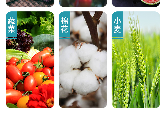 鐏伴湁銆佸彾闇夈佽弻鏍哥梾鍏嬫槦-縐掑厠_05.jpg 鐏伴湁銆佸彾闇夈佽弻鏍哥梾鍏嬫槦-縐掑厠_05.jpg