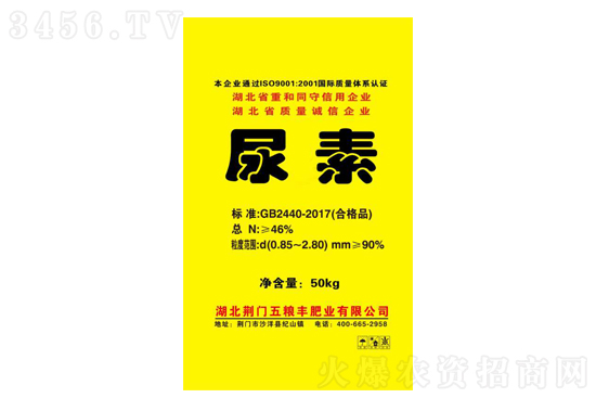 �����^����w�����2021-6-16�������؃r�������r