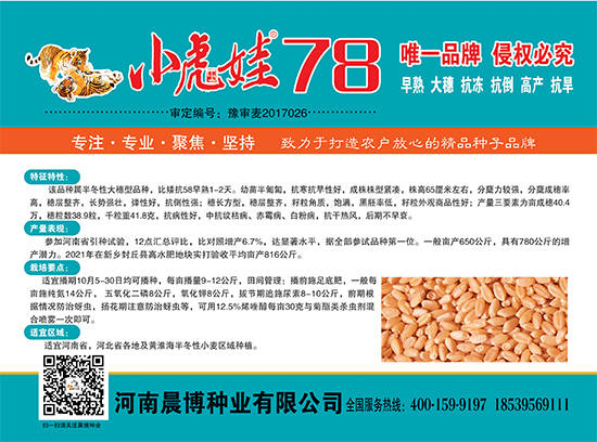 灝忚檸濞?8-灝忛害縐嶅瓙-鏅ㄥ崥縐嶄笟3.jpg 灝忚檸濞?8-灝忛害縐嶅瓙-鏅ㄥ崥縐嶄笟3.jpg