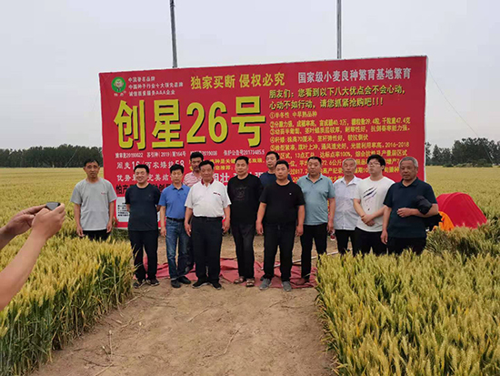 ��(chu��ng)��26̖-С���N��-�����r(n��ng)�I(y��)