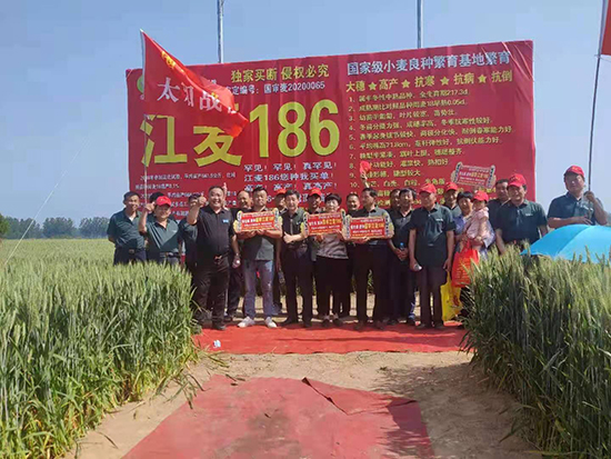 ��������186-С���N��-�����r(n��ng)�I(y��)