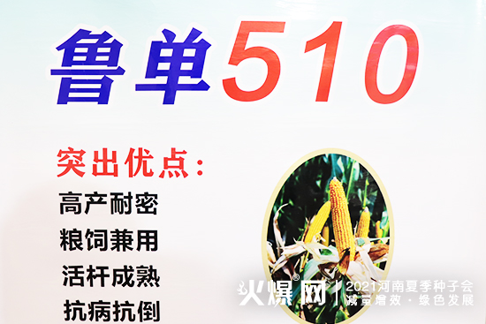 聚焦展會,掘金市場!2021河南夏季種子會,安徽華成期待您的蒞臨! 聚焦展會,掘金市場!2021河南夏季種子會,安徽華成期待您的蒞臨!