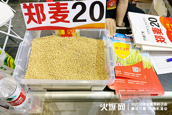 �����ΏV�l(f��)�N�I(y��)��������2021����ʡ�ļ��N�ӕ���