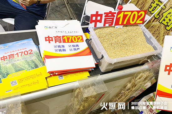 �����ΏV�l(f��)�N�I(y��)��������2021����ʡ�ļ��N�ӕ���