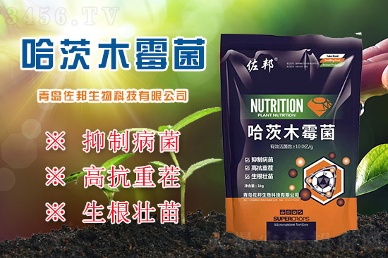 重茬減產超20%,再不治就晚了!佐邦哈茨木霉菌,專為高抗重茬而生! 重茬減產超20%,再不治就晚了!佐邦哈茨木霉菌,專為高抗重茬而生!