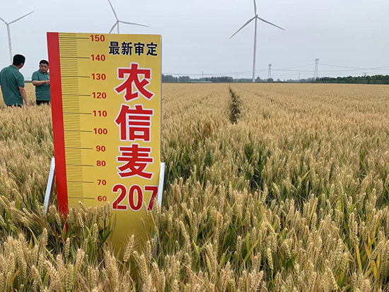 �r(n��ng)����207-С���N��-�r(n��ng)�ŷN�I(y��)