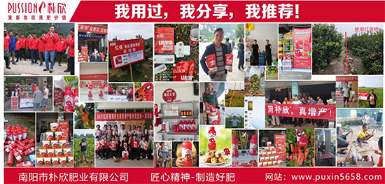 鏈爣棰?1.jpg 鏈爣棰?1.jpg