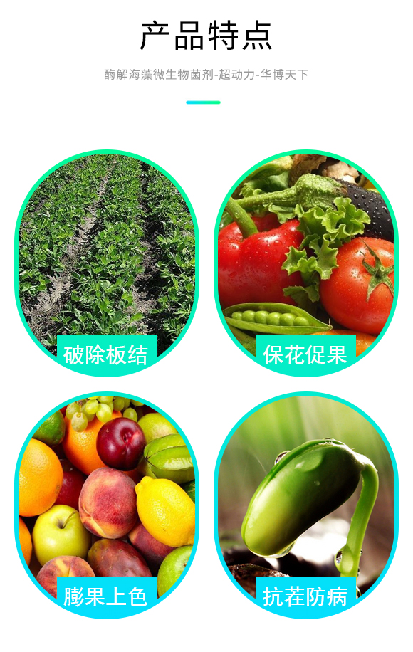 閰惰В嫻瘋椈寰敓鐗╄弻鍓?瓚呭姩鍔?鍗庡崥澶╀笅_04.jpg 閰惰В嫻瘋椈寰敓鐗╄弻鍓?瓚呭姩鍔?鍗庡崥澶╀笅_04.jpg