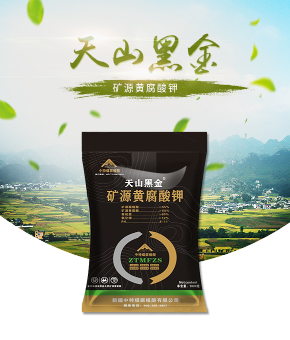 鐭挎簮榛勮厫閰擱捑-澶╁北榛戦噾-涓壒鐓01.jpg 鐭挎簮榛勮厫閰擱捑-澶╁北榛戦噾-涓壒鐓01.jpg