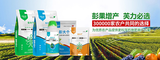 ��ܽ������Ƽ����޹�˾