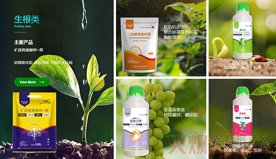 ��ܽ������Ƽ����޹�˾