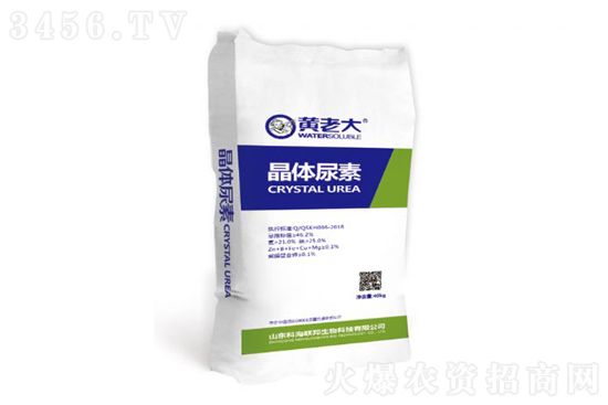 2022-3-12�������؃r�������߄ݷ���