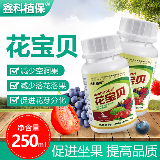 植物生长调节�?花宝�?鑫科植保.jpg