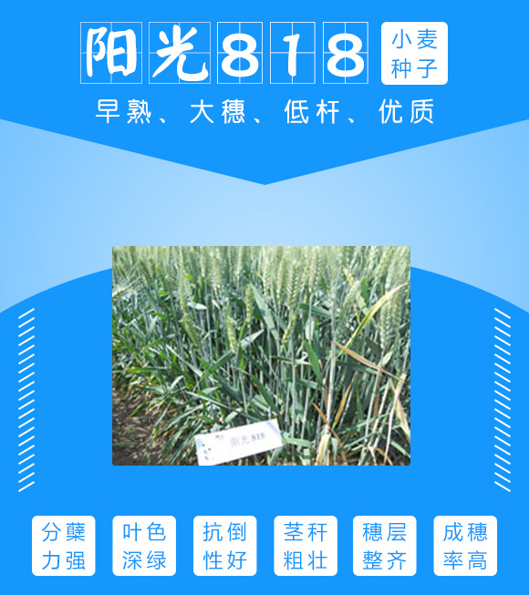 6374736743720758026598056.jpg 6374736743720758026598056.jpg