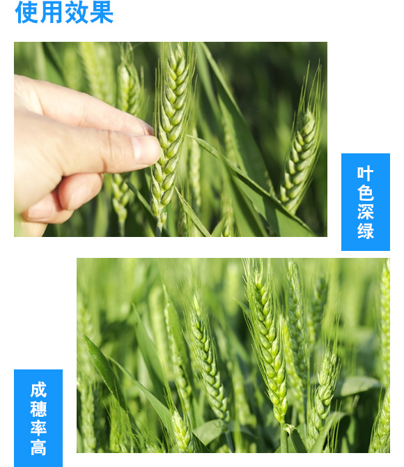 6374736745480146241639256.jpg 6374736745480146241639256.jpg