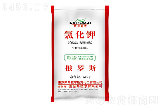 2022-8-13�����Ȼ�⛃r�������߄�