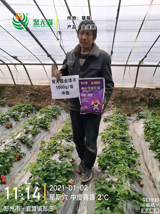 閲戠紩鍖誨湴琛h娊瀛㈡潌鑿?鑱氭棤闇?.jpg 閲戠紩鍖誨湴?。鑺藉鏉嗚?鑱氭棤闇?.jpg