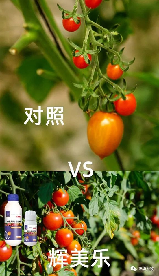 鏈爣棰?4.jpg 鏈爣棰?4.jpg