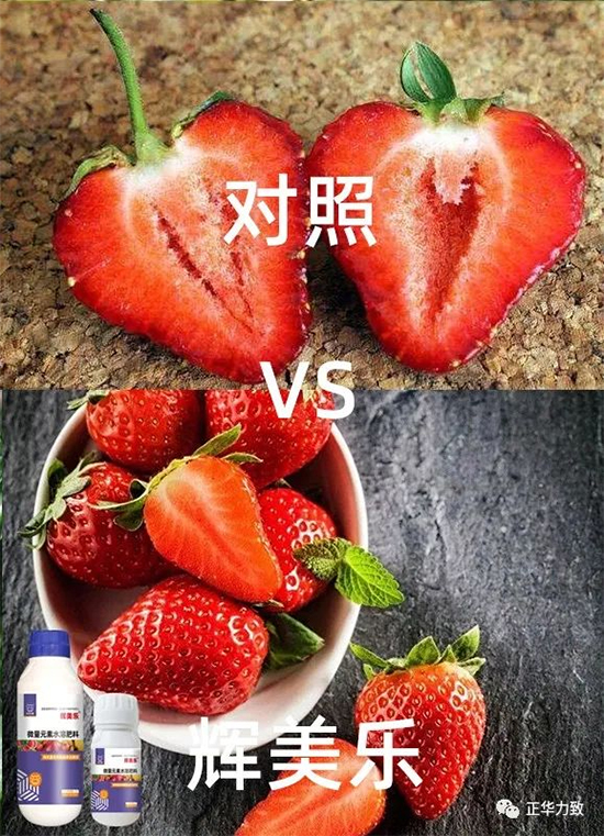 鏈爣棰?5.jpg 鏈爣棰?5.jpg