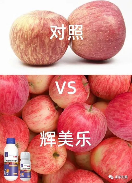 鏈爣棰?9.jpg 鏈爣棰?9.jpg