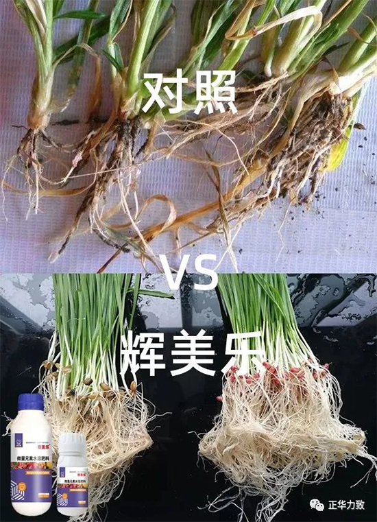 鏈爣棰?11.jpg 鏈爣棰?11.jpg