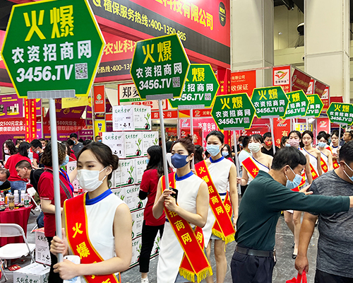 ȫ�W(w��ng)�ƏV������(zh��n)���̣����r(n��ng)�Y�W(w��ng)�W���ǈ�(ch��ng)��