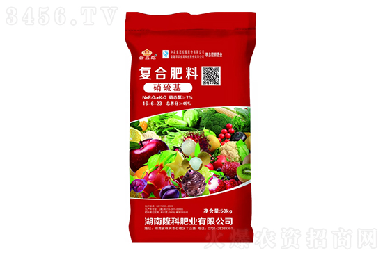 ���Տ�(f��)�Ϸʃr�������߄ݷ���2022-12-13