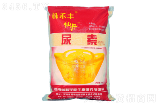 ���؃r������Xһ����2022-12-19�������؃r�������r