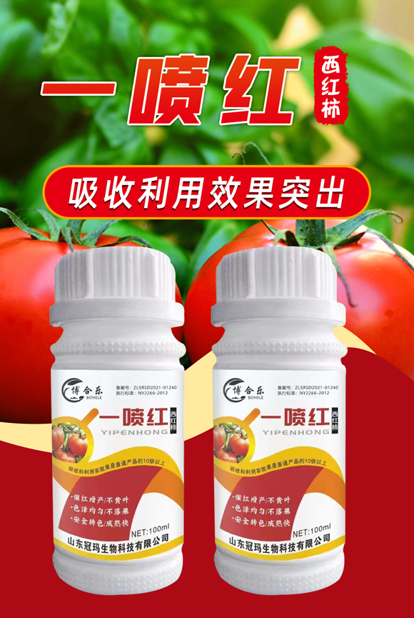 西红柿一��L(f��ng)��-冠玛生物_01.jpg
