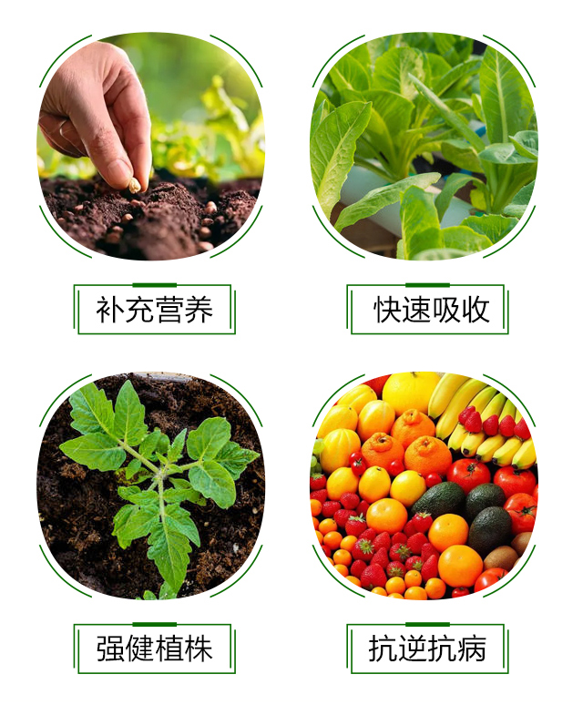 鐭挎簮閮?灝婁韓鐢熺墿_05.jpg 鐭挎簮閮?灝婁韓鐢熺墿_05.jpg